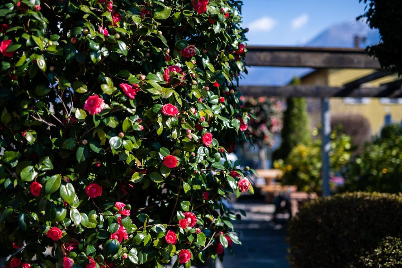 Ascona Lodge, Pool & Garden Retreat Exterior foto